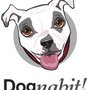 Photo of Dognabit