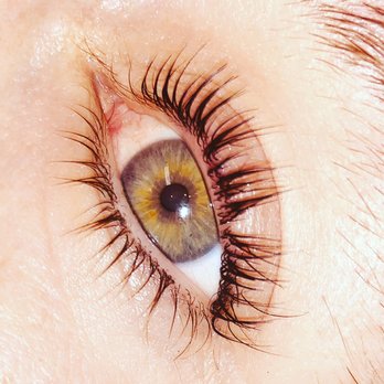 Bueno Beauty - Lash lift with tint - Eyelash Service Near Me Bueno Beauty - Lash lift with tint - Eyelash Service Near Me