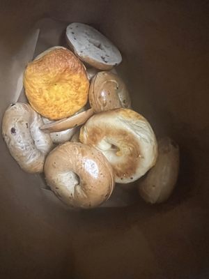 House of Bagels by null