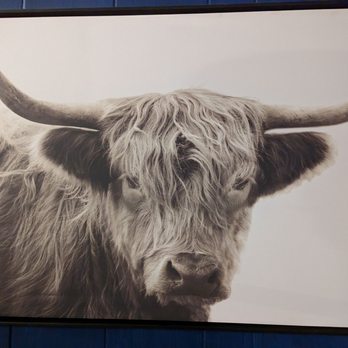 De Pan Y Queso Bocadillos Bar - a cow with long horns - Bars Near Me - Pittsburgh, Pennsylvania De Pan Y Queso Bocadillos Bar - a cow with long horns - Bars Near Me - Pittsburgh, Pennsylvania
