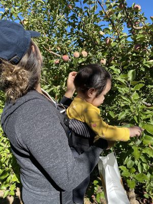 VOLCAN VALLEY APPLE FARM - Updated February 2026 - 260 Photos & 139
