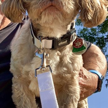 Tailwaggers - Mocha - Pet Stores Near Me - Whitefish, Montana