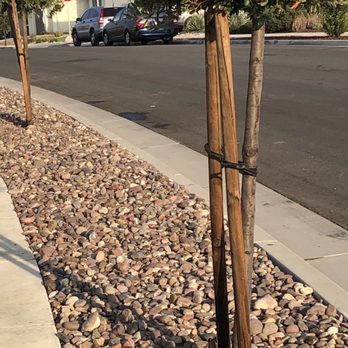 Ortiz Landscaping - After - Landscaping Near Me - Menifee, California