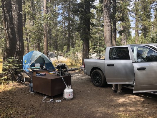 Tioga Rd by null