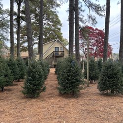 Hudgins Nursery & Garden Center - Virginia Trees . Great Prices