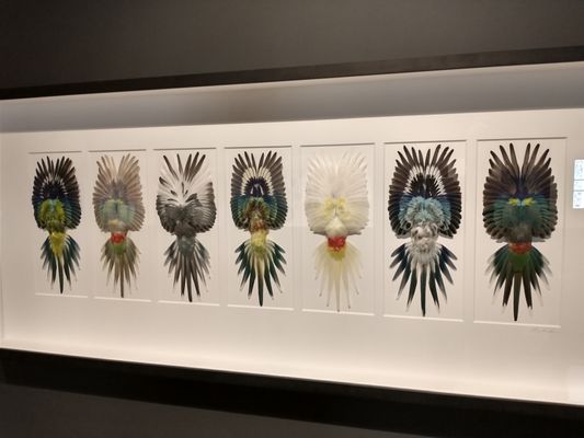 Discovery Center of Idaho by null