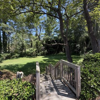 The Book & Bee - Cafes Near Me - Hendersonville, North Carolina The Book & Bee - Cafes Near Me - Hendersonville, North Carolina