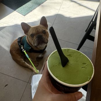 Maruwu Seicha - Dog friendly - Coffee & Tea Near Me - Culver City, California