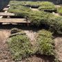 Farmer's Nursery