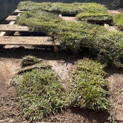 Farmer's Nursery