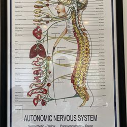 Monterey Chiropractic Care