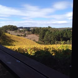 Mt Lofty Ranges Vineyard - From inside