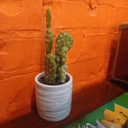 El Patron - Cactus on every table
