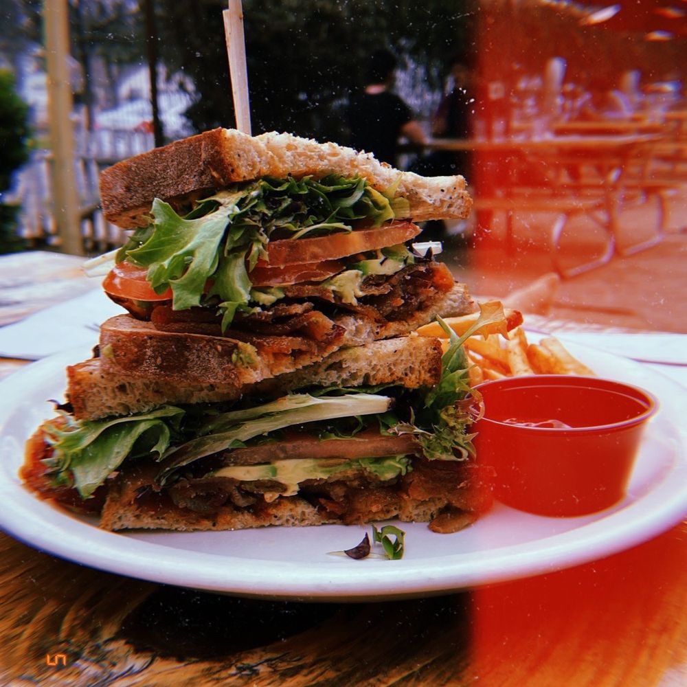 Cenote - BLT - Coffee & Tea Near Me - Austin, Texas Cenote - BLT - Coffee & Tea Near Me - Austin, Texas