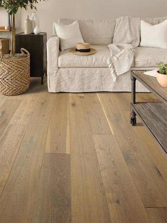 THE CARPET HOUSE Updated August 2024 14 Photos 1320 Woodlawn Rd