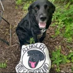 Ringler Family Campground