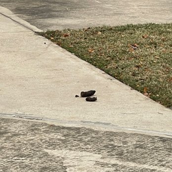 Mont Belvieu RV Resort - Dog poop - RV Parks Near Me - Baytown, Texas