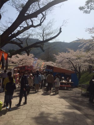 Hakodate Park by null