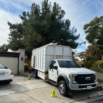 Acosta Tree Service - Tree Services Near Me Acosta Tree Service - Tree Services Near Me