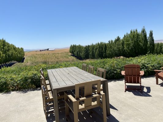 Long Shadows Winery by null