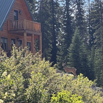 Mountain Top Resort - Resorts Near Me - Cedaredge, Colorado Mountain Top Resort - Resorts Near Me - Cedaredge, Colorado