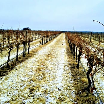 Texas Hill Country Wineries - a dirt road in a snowy field - Wineries Near Me Texas Hill Country Wineries - a dirt road in a snowy field - Wineries Near Me
