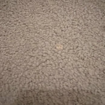 Reyes Maids - Dallas - Stained carpet - Home Cleaning Near Me - Dallas , Texas