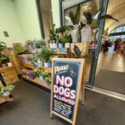 Going in for a gift card and greeting cards. 08/22/25