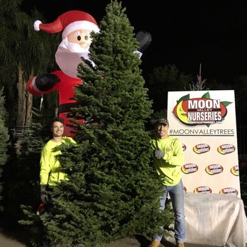 Moon Valley Nurseries - Nurseries & Gardening Near Me - Phoenix, Arizona