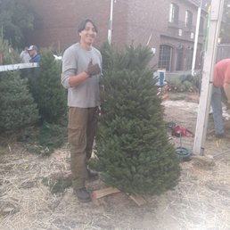 This is Steven. He is awesome! He helped so much with this process. Here he is about to trim the tree for us This is Steven. He is awesome! He helped so much with this process. Here he is about to trim the tree for us