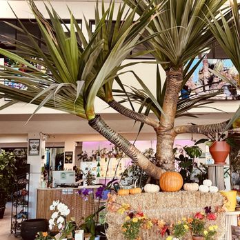 Selva Coffee House - Terra Bella entrance - Coffee Roasteries Near Me - San Diego, California