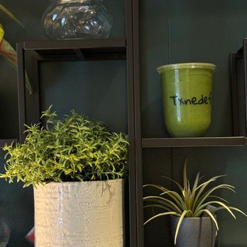 Txnedef Smoothies - Juice Bars & Smoothies Near Me