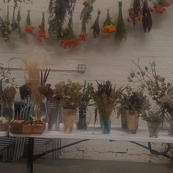 Local Color Flowers - Dried flowers - Florists Near Me - Baltimore, Maryland Local Color Flowers - Dried flowers - Florists Near Me - Baltimore, Maryland
