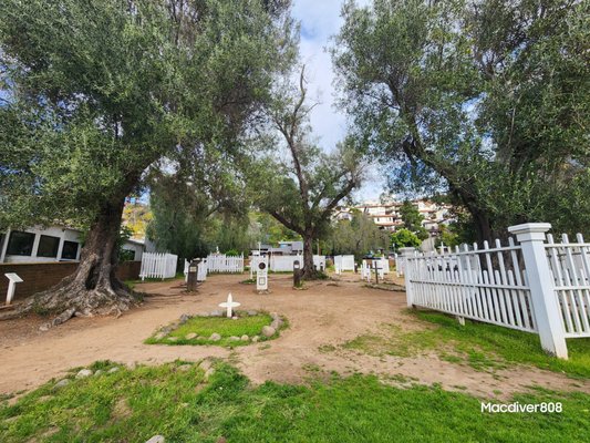 El Campo Santo by null