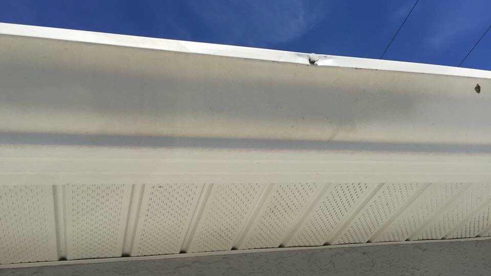 Slide of Rhyne Restoration