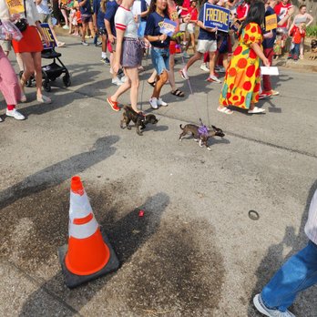Tomato Art Fest - Parade - Local Flavor Near Me - Nashville, Tennessee