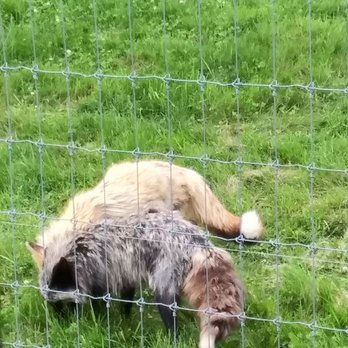 Penn's Cave & Wildlife Park - Historical Tours Near Me - Centre Hall, Pennsylvania Penn's Cave & Wildlife Park - Historical Tours Near Me - Centre Hall, Pennsylvania