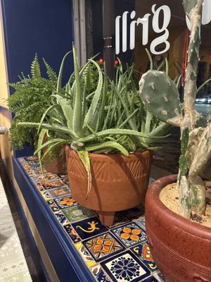 Francisco's Mexican Grill by null