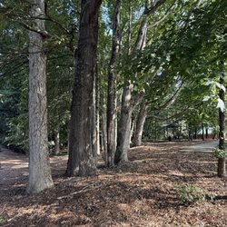Shakerag Park - Trail
