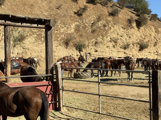 Sunset Ranch Hollywood by null