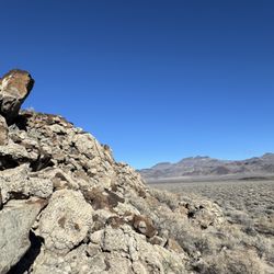 Black Rock Desert