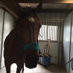 Valkyrie Equestrian Center
