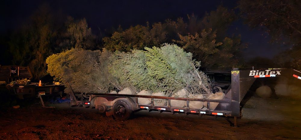 Orosaz Trees - tree service in Santa Fe, NM