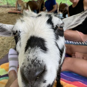 Avery Family Farm - Farms Near Me - Durham, North Carolina