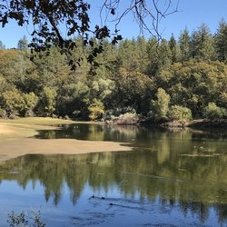 Applegate Jesuit Retreat Center - Beautiful lake attracts so much wildlife, could sit and gaze for days!