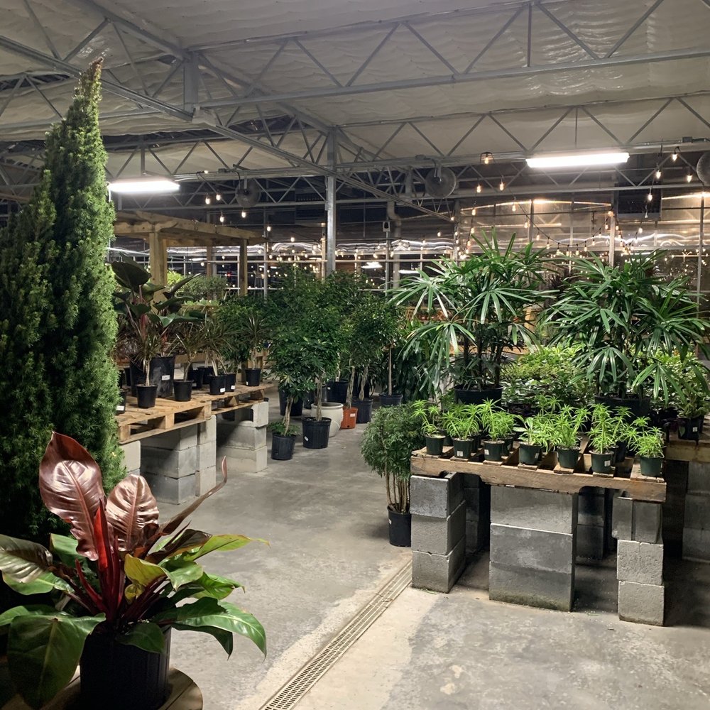 Anderson's - Virginia Beach - Plants - Accessories Near Me - Virginia Beach, Virginia