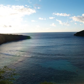 The Real Hawaii - If you look closely, you can see the whale spray! - Historical Tours Near Me
