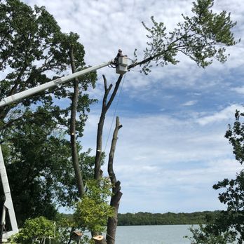 HGTS - a tree being pruned by a crane - Tree Services Near Me - Elburn, Illinois