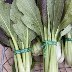 Brunswick Farmer's Market on The Mall - Bok choyyyyy