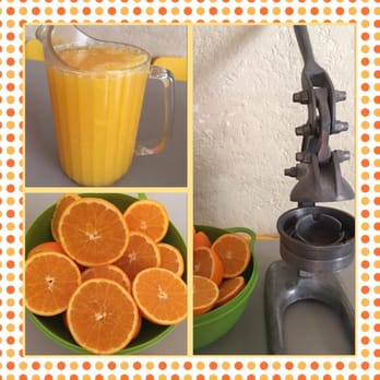 Early Childhood Learning - Today we made orange juice using oranges from our orange tree. - Child Care & Day Care Near Me Early Childhood Learning - Today we made orange juice using oranges from our orange tree. - Child Care & Day Care Near Me